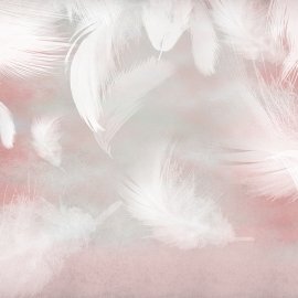 WG-240_hand drawn feathers