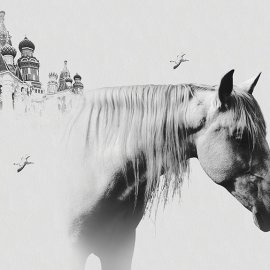 WG-110_painted horse