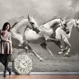 WG-860_13-102 Gallop_g