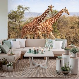 WG-862_13-106 Giraffes_g