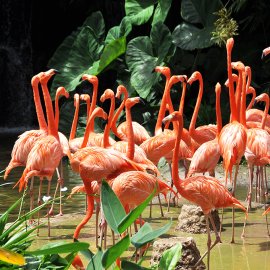 WG-865_13-111 Meeting