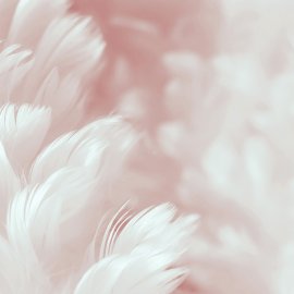 WG-876_13-128 Feather