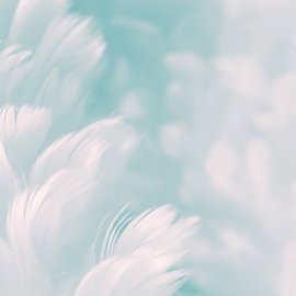 WG-877_13-130 Feather