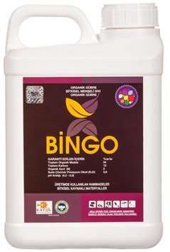 bingo-2