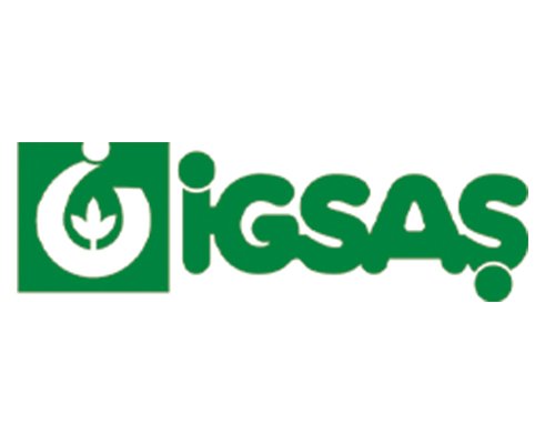 igsaş