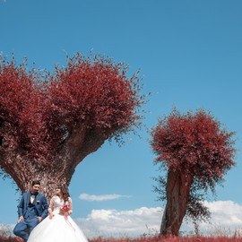 en iyi düğün fotoğrafları grafikser sercan çetinel sivas (10)