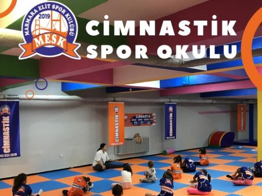 Pendik Cimnastik Spor Okulu
