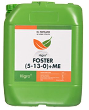foster-1_01
