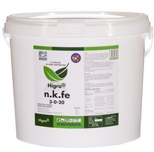 nkfe-1