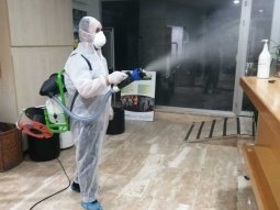 Belgradkapı Böcek İlaçlama