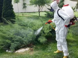 Ataköy Böcek İlaçlama
