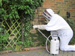 Ayakapı Böcek İlaçlama