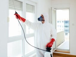 Anadoluhisarı Böcek İlaçlama