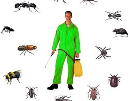 Gemi Tekne Yat İlaçlama - Alo Böcek İlaçlama Şirketi