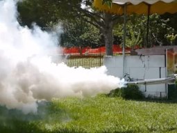 Hamam Böcekleri Evinizde Nerelere Yuvalanır?