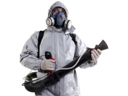 Kartal Böcek İlaçlama