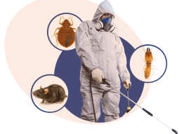 Bahçeşehir Böcek İlaçlama