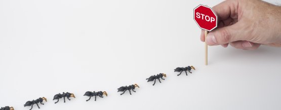 Çocuk ve Evcil Hayvan Güvenliği İçin İlaçlama Önerileri