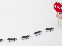 Çocuk ve Evcil Hayvan Güvenliği İçin İlaçlama Önerileri