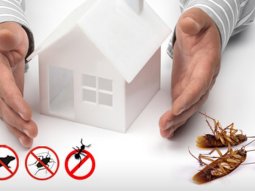 Haşere İlaçlama İşlemi Sırasında Dikkat Edilmesi Gerekenler