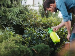 Dolapdere Böcek İlaçlama