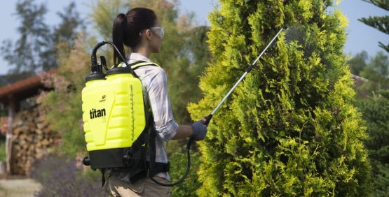 Selamsız Böcek İlaçlama - Alo Böcek İlaçlama 0212 980 00 17