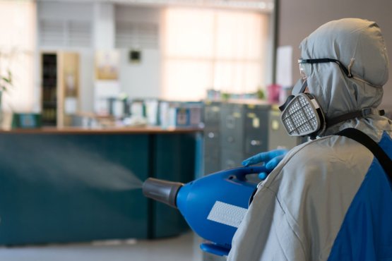 Zincirlikuyu Böcek İlaçlama - Alo Böcek İlaçlama 0212 980 00 17