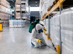 Yeşilköy Böcek İlaçlama