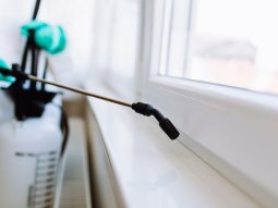 Yakacık Böcek İlaçlama