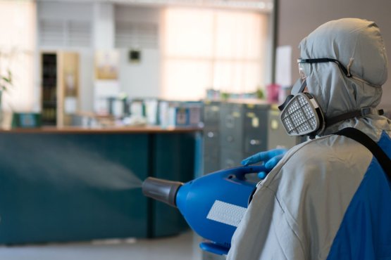 Okul İlaclama - Alo Böcek İlaçlama 2024