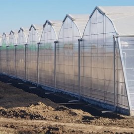PLASTIC GREENHOUSE