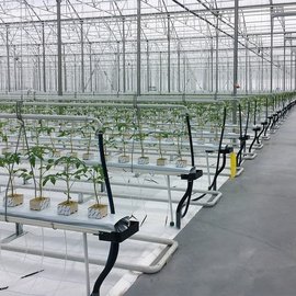 PLASTIC GREENHOUSE