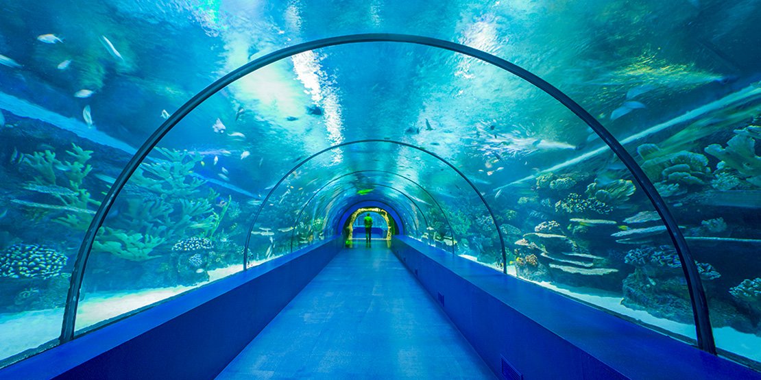 Antalya Sightseeing & Aquarium