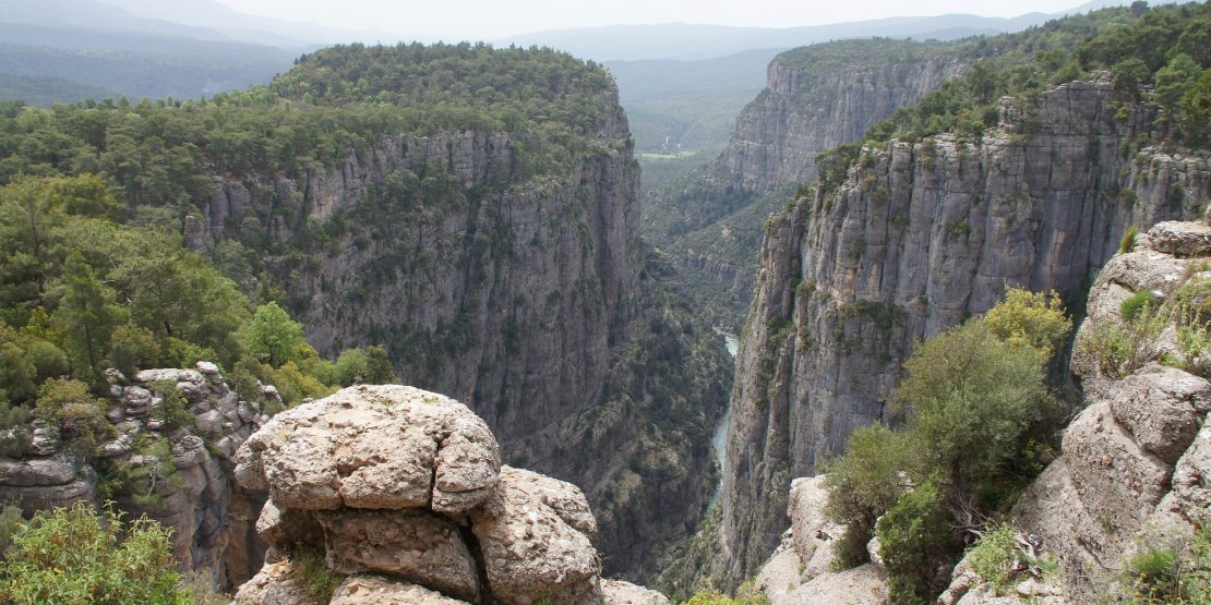 Miracle of the Nature