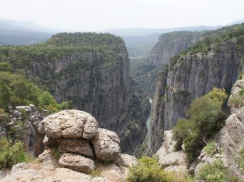 Miracle of the Nature