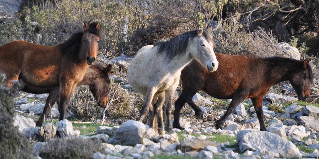 Ormana Discovery Tour