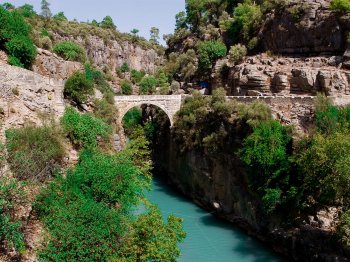 Taurus Outback Safari
