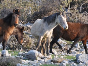 Ormana Entdeckungstour