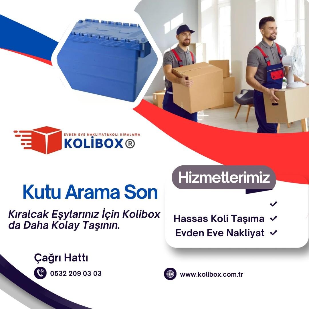 Pendik-Koli-Kiralama