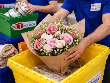 Karton Kutu Aramaya Son: Kolibox