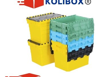 Karton Kutu Aramaya Son: Kolibox