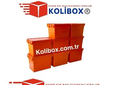 Karton Kutu Aramaya Son: Kolibox