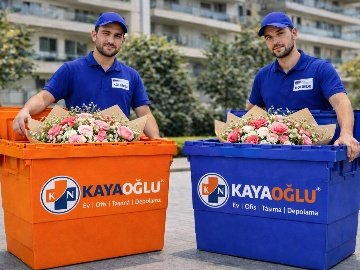 Karton Kutu Aramaya Son: Kolibox