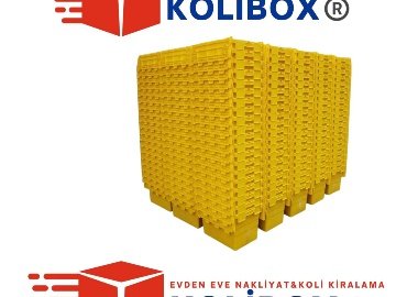 Karton Kutu Aramaya Son: Kolibox