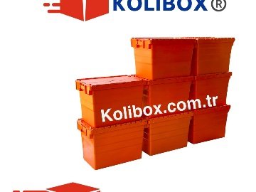 Karton Kutu Aramaya Son: Kolibox