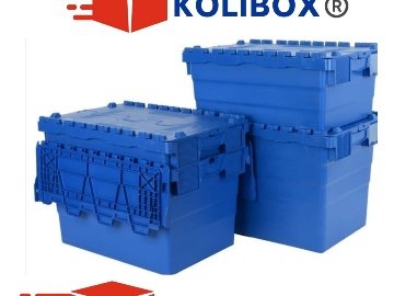 Karton Kutu Aramaya Son: Kolibox