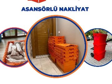 Karton Kutu Aramaya Son: Kolibox