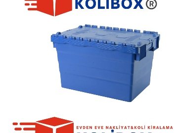 Karton Kutu Aramaya Son: Kolibox