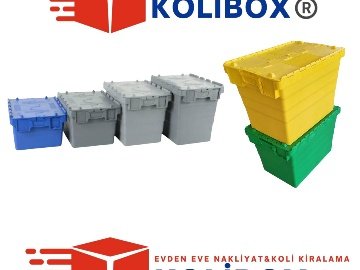 Karton Kutu Aramaya Son: Kolibox
