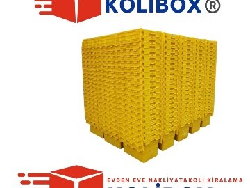 Karton Kutu Aramaya Son: Kolibox